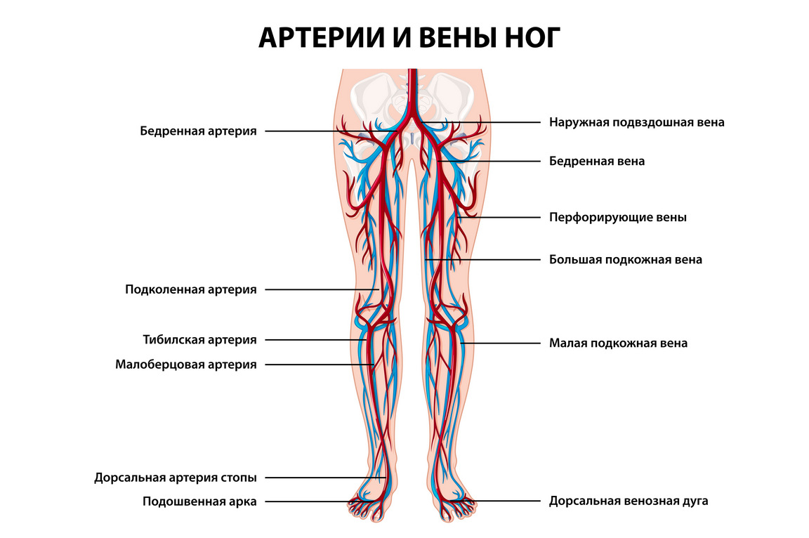 Симптомы заболевания вен нижних конечностей
