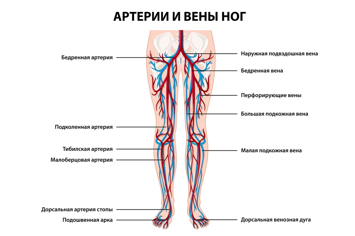 Симптомы заболевания вен нижних конечностей